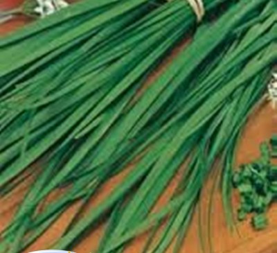 Onion Dushistiy